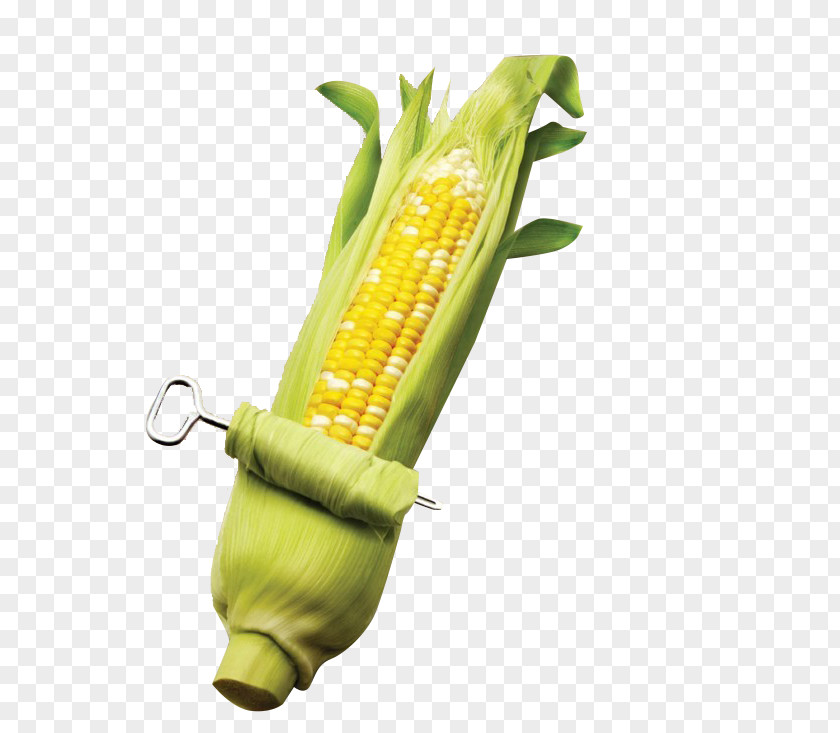 Mature Corn On The Cob Maize Kernel Sweet PNG