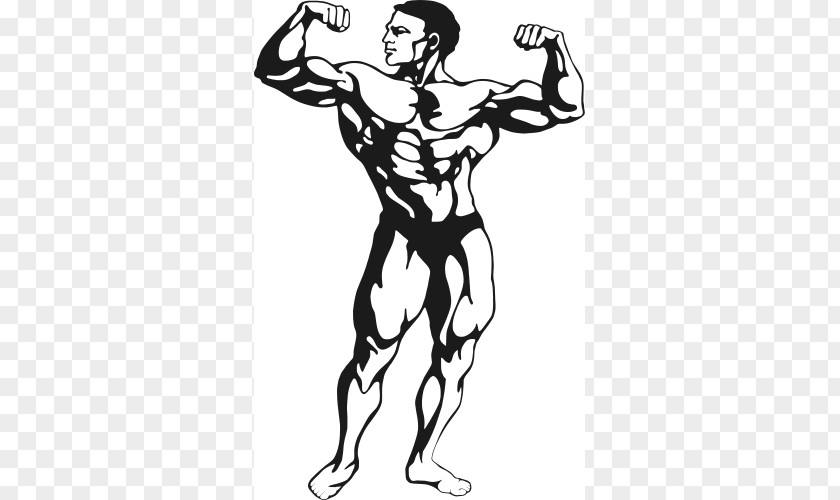 Strong Man Clipart Female Bodybuilding Physical Fitness Clip Art PNG