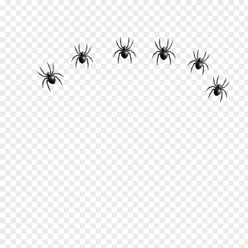 Arachnid Blackandwhite Spiders Cartoon PNG