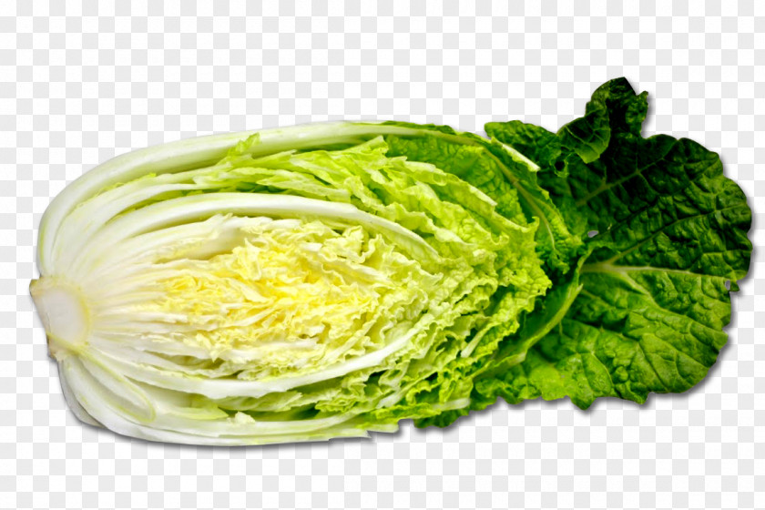 Cabbage Image Korean Cuisine Romaine Lettuce Cauliflower PNG