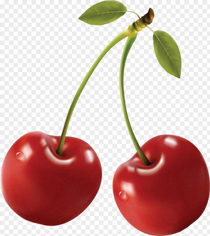 Cherry Royalty-free Fruit Berry PNG