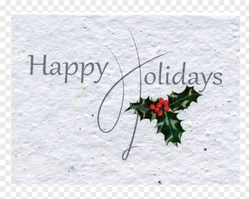 Christmas Greeting & Note Cards Petal Certificate Of Deposit Floral Design PNG