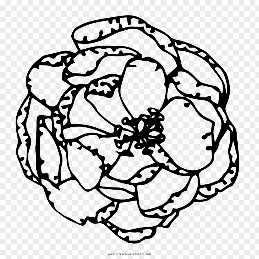 Flower Black And White Drawing Coloring Book Paper PNG