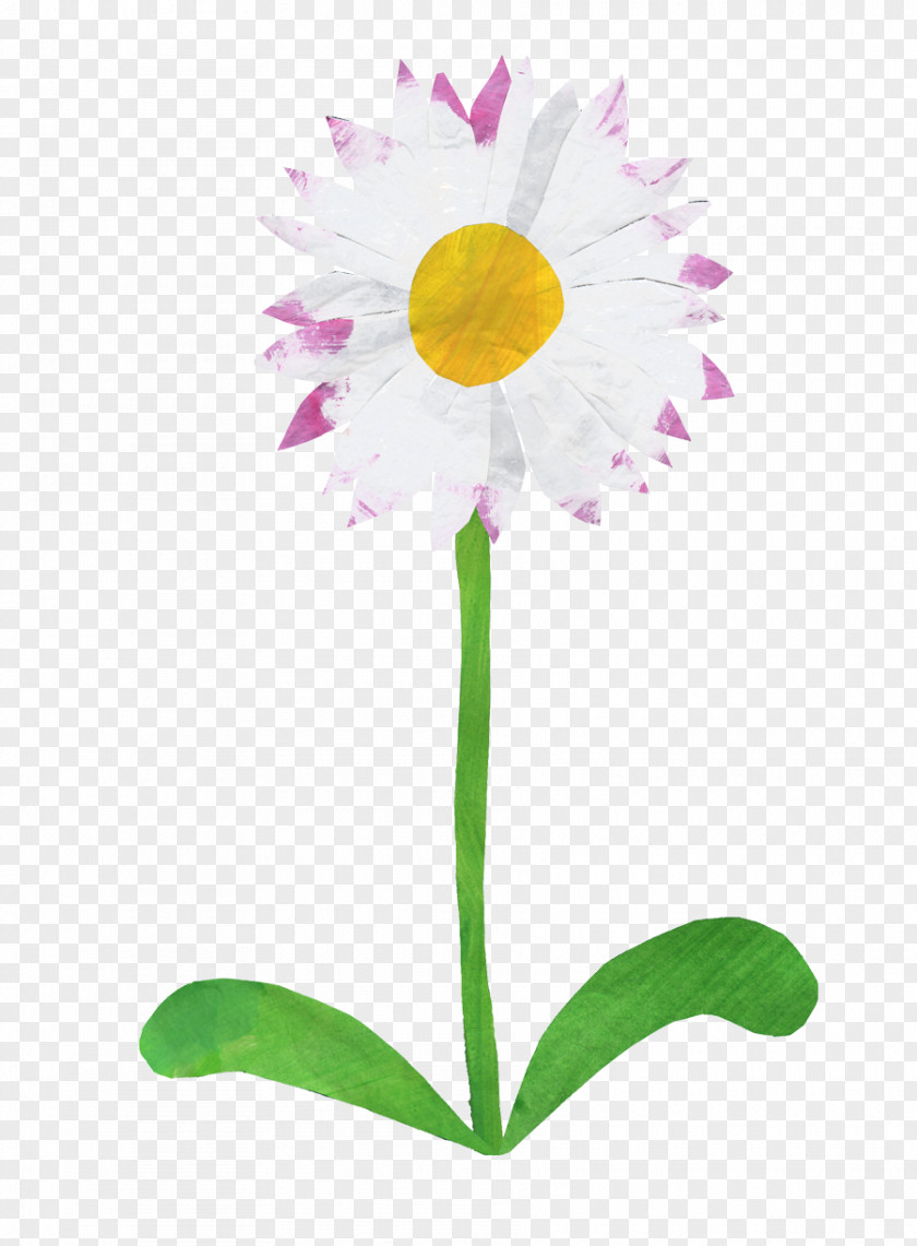 Hand Painted People Birth Flower Common Daisy Sweet Pea Gift PNG