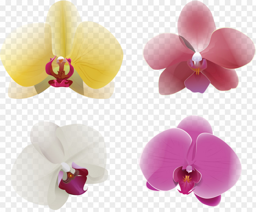 Heart Tree Flower PNG