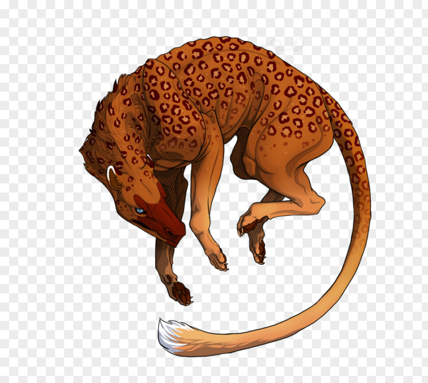 Highclass Background Big Cat Terrestrial Animal Fauna Orange S.A. PNG