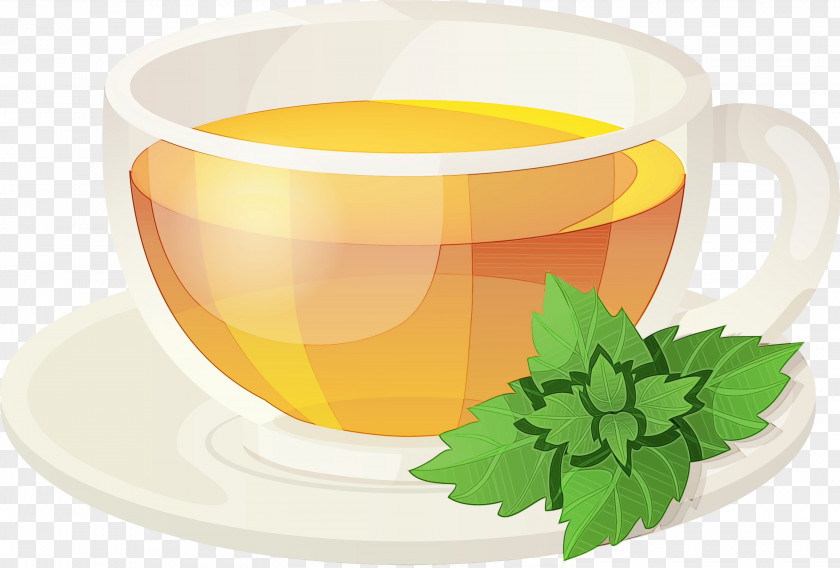 Tableware Herbal Coffee Cup PNG