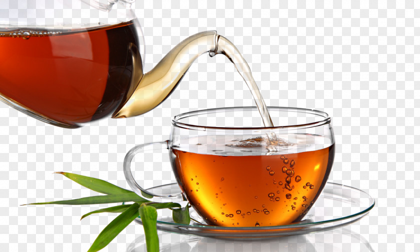 Tea Green Darjeeling Herbal Infusion PNG