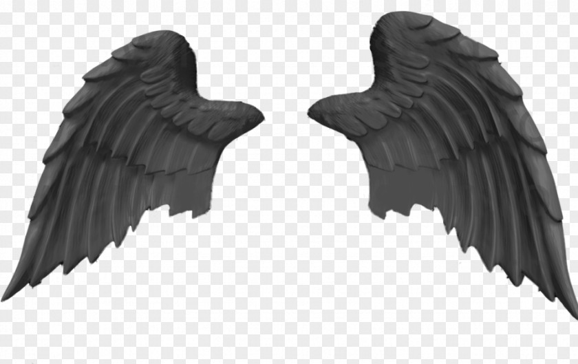 Angel EHC Black Wings Linz Clip Art Image Download PNG