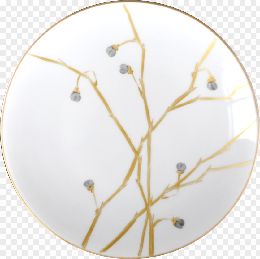 Circle Tableware PNG