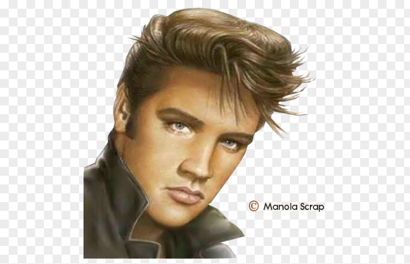 Elvis Presley Drawing Portrait Painting Singer PNG Singer, painting clipart PNG