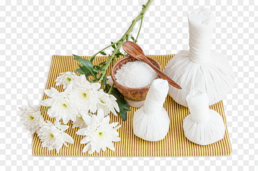 Flowers And Curtains On The Sand Hammer. Photography Download Massage PNG