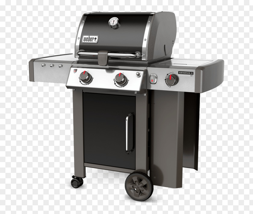 Meat Grills Barbecue Weber-Stephen Products Natural Gas Propane Burner PNG