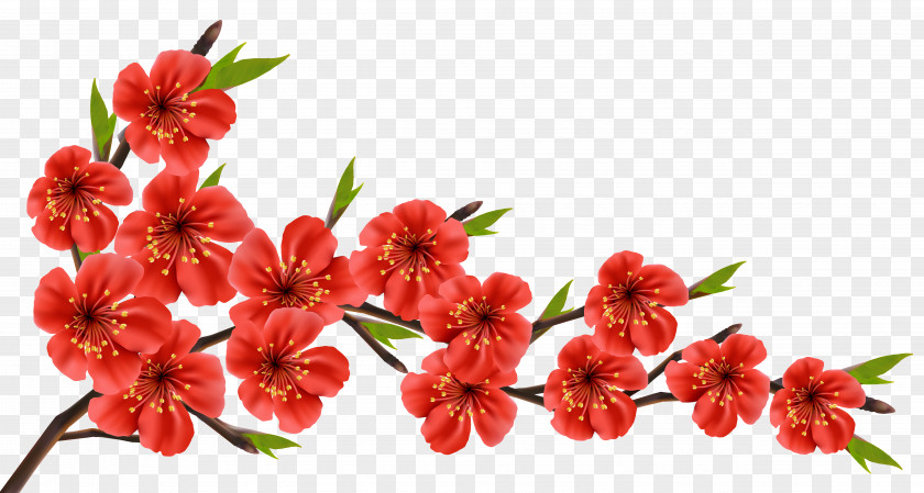 Red Spring Branch Clipart Image Flowery Clip Art PNG