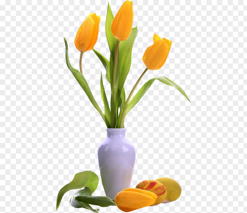 Vase Tulip Flower Desktop Wallpaper High-definition Television PNG