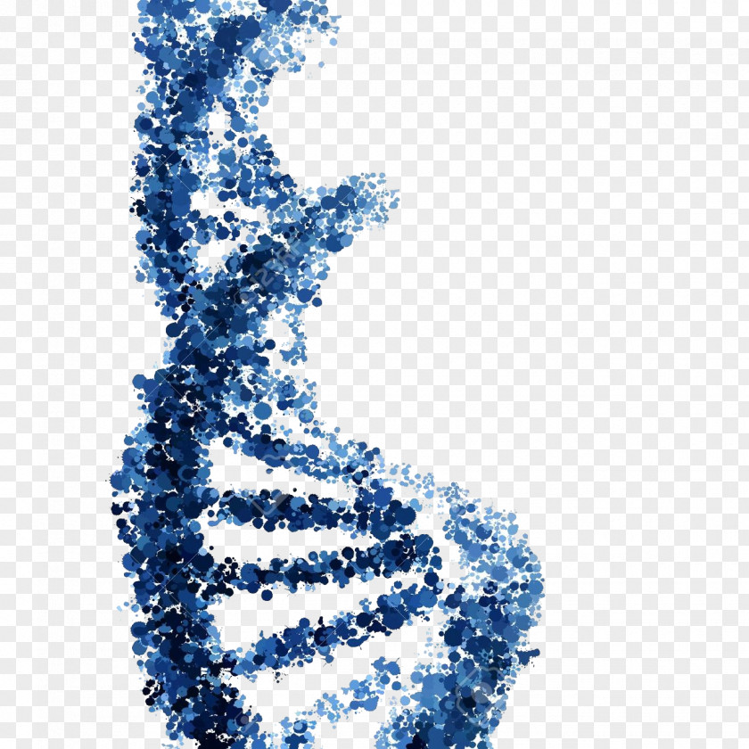 Vector Nucleic Acid Double Helix DNA PNG