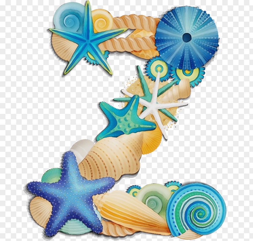 Baby Toys Seashell Cartoon PNG