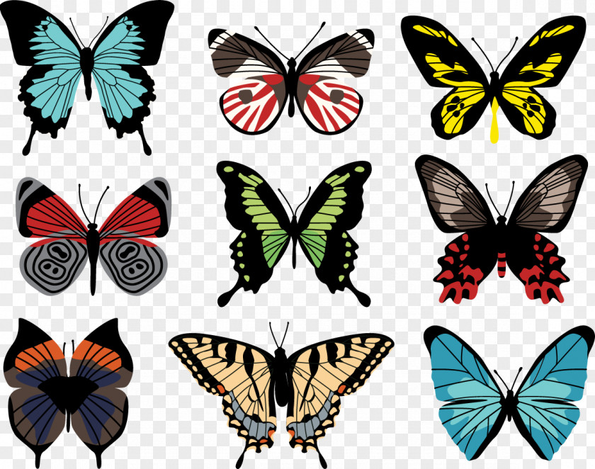 Butterfly Paper PNG