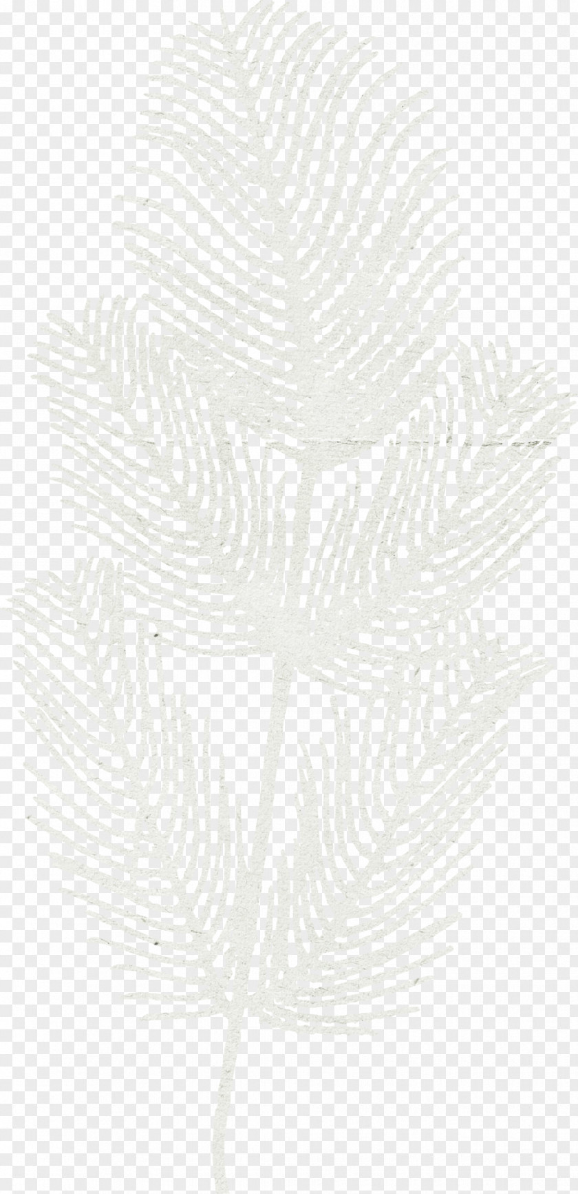 Feather Fluff White Black Pattern PNG