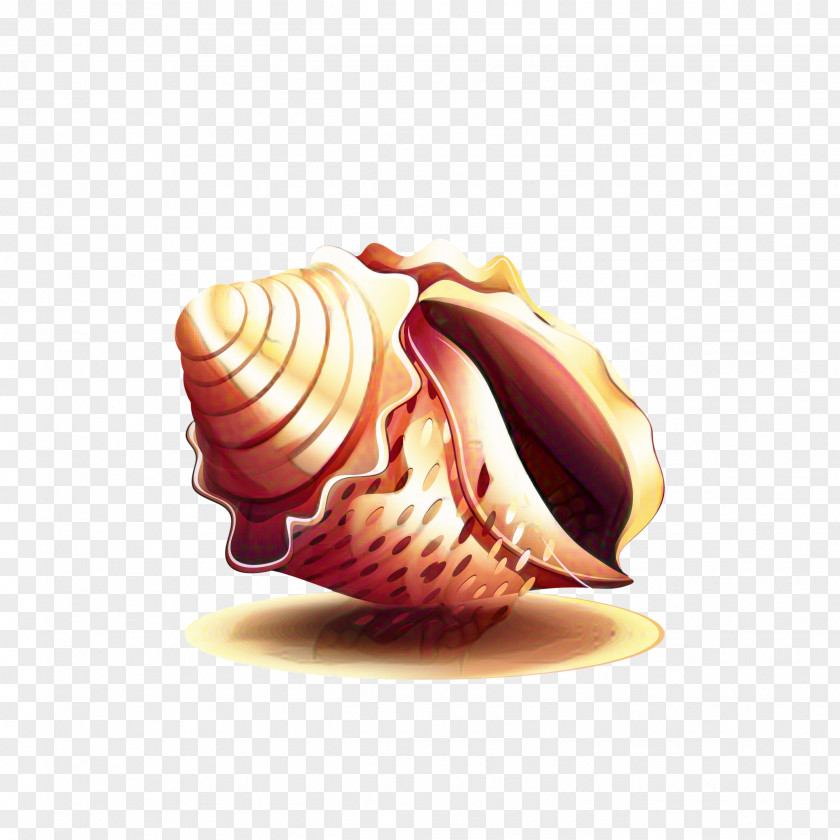 Jewellery Natural Material Snail Cartoon PNG