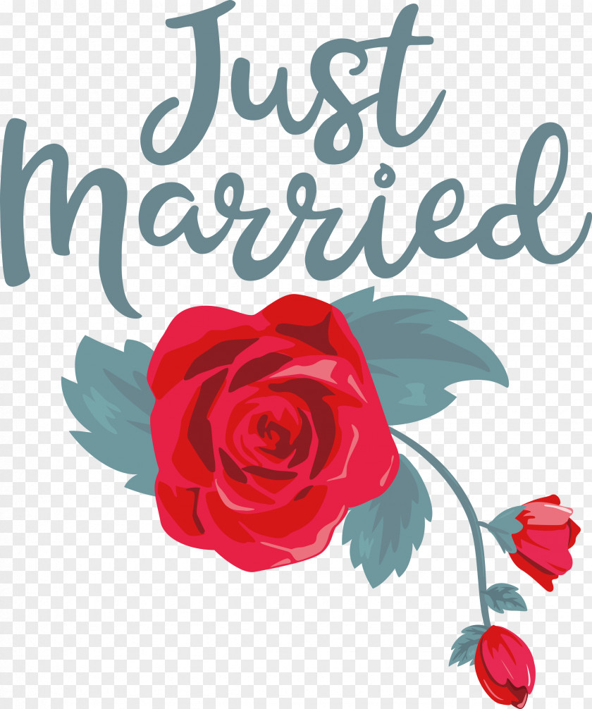 Just Married Wedding PNG