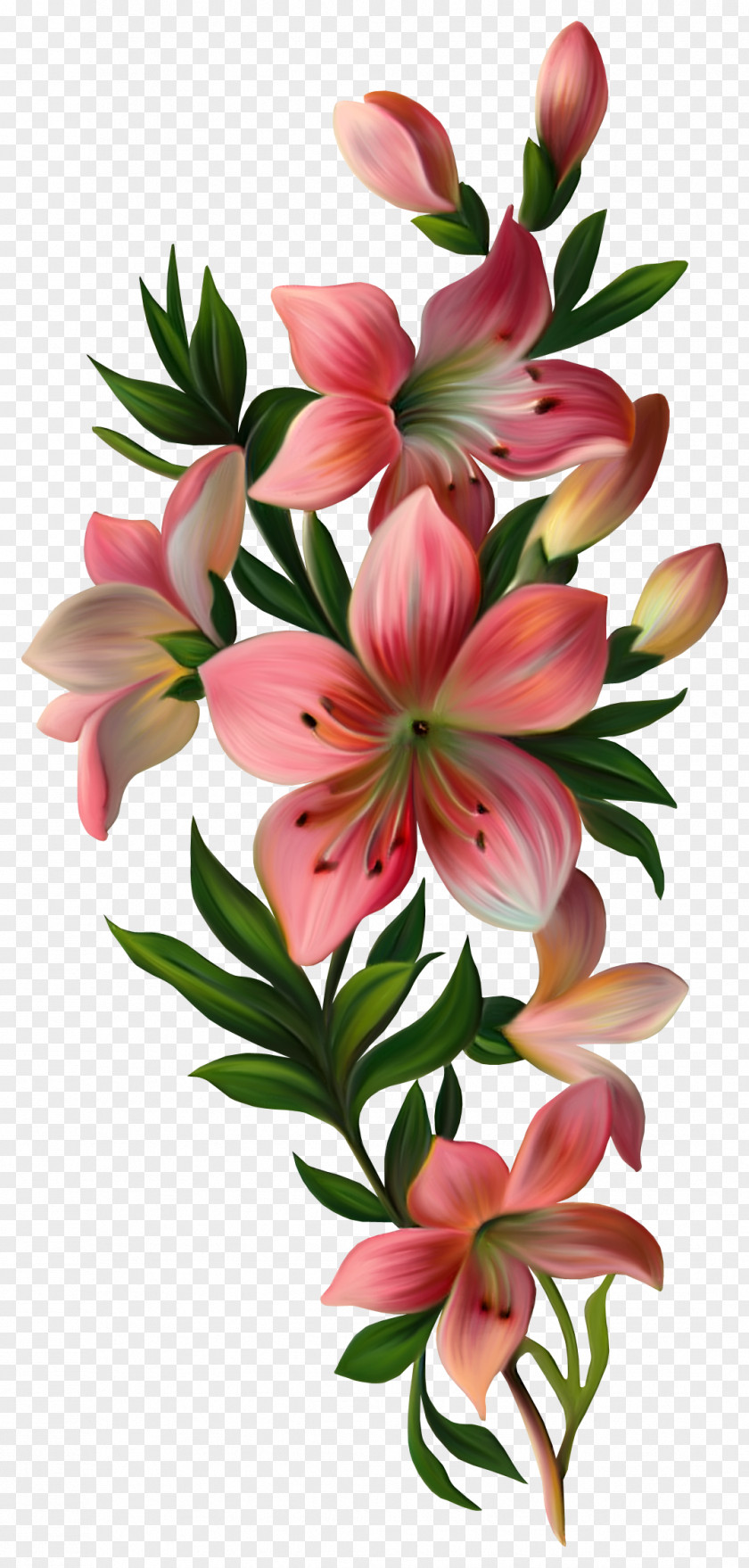Lily Flower Vintage Clothing Clip Art PNG
