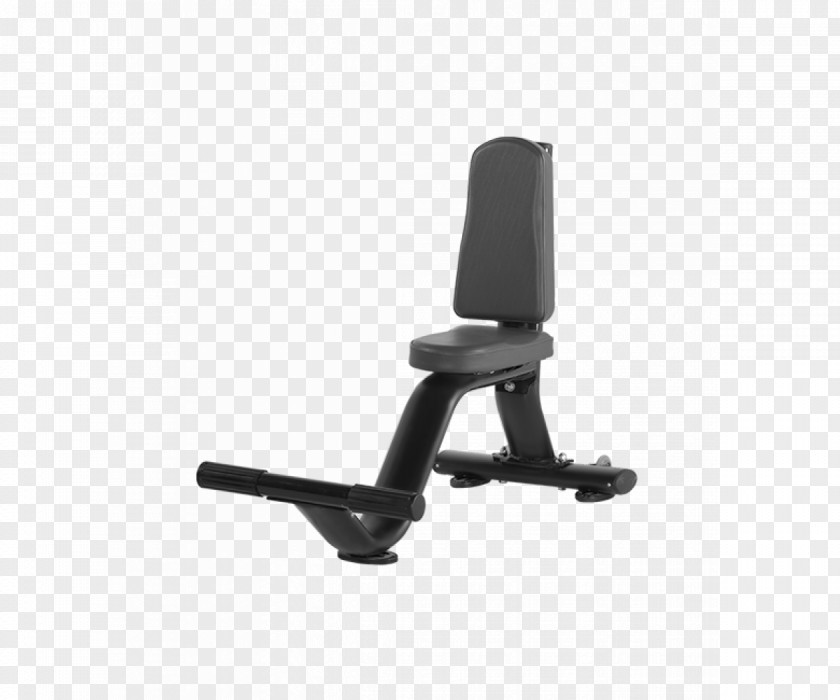 Park Bench Exercise Equipment Bodybuilding Fitness Centre PNG