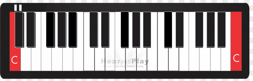 Piano Nord Electro Electronic Musical Instruments Keyboard PNG