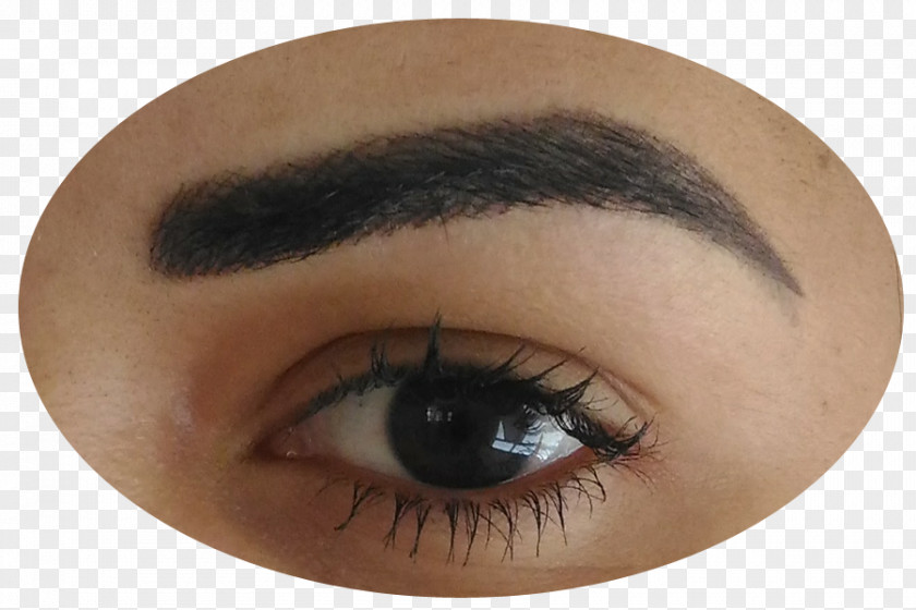 SOBRANCELHA Eye Liner Permanent Makeup Eyebrow Shadow Microblading PNG