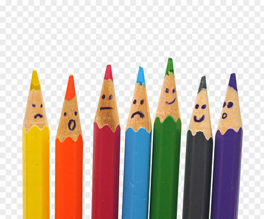 Art Pencils Colored Pencil Organization PNG