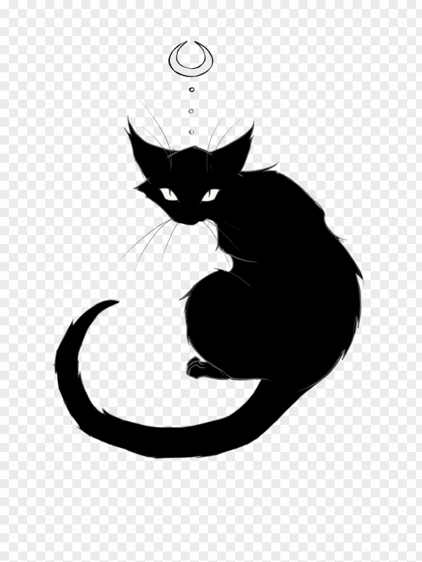 Black Cat Whiskers Kitten PNG