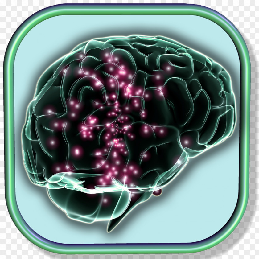 Brain Electrical Stimulation Neuroscience Memory PNG