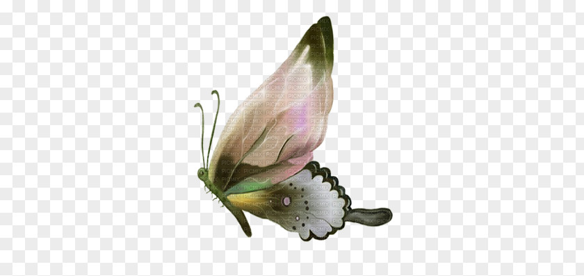 Butterfly Painting Clip Art PNG