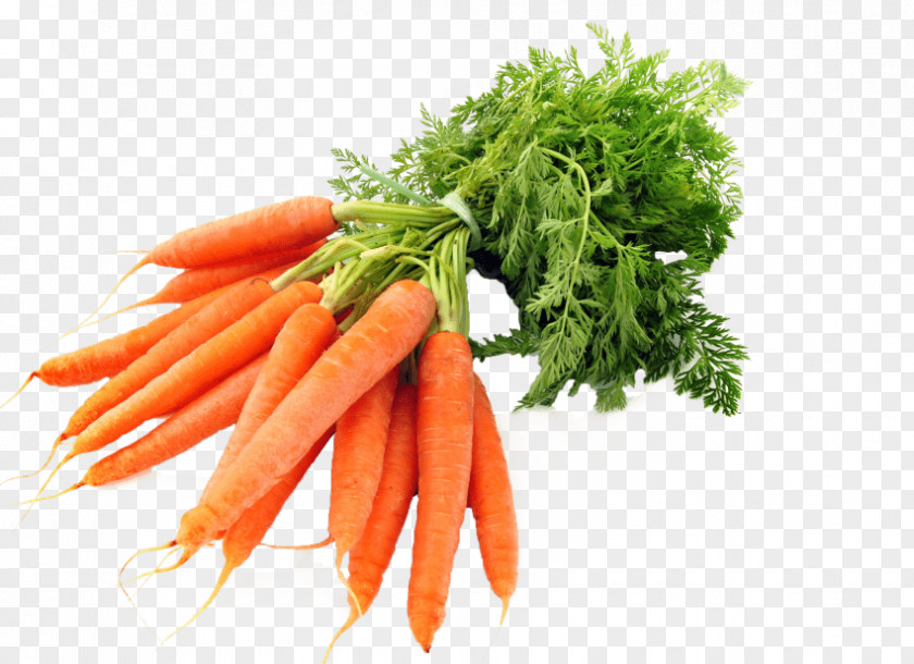 Carrot Baby Food Organic PNG