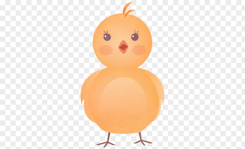 Chick Pictures Chicken Cartoon Clip Art PNG