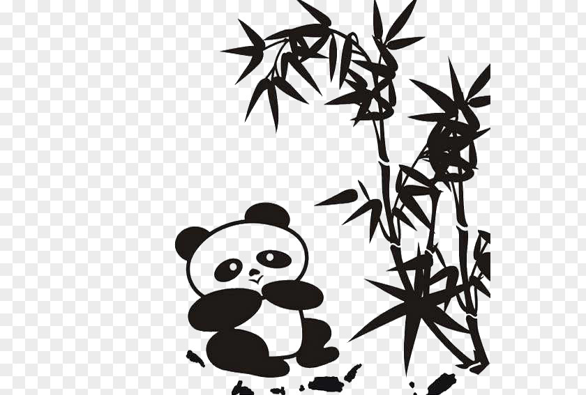 Eat Bamboo Panda Giant Red Stroke Fargesia Child PNG
