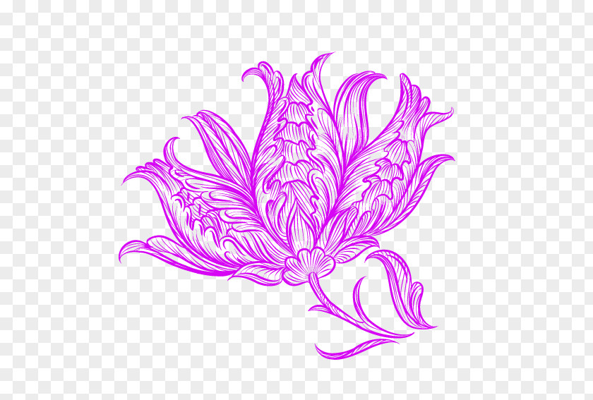 Floral Pattern Petal Illustration PNG