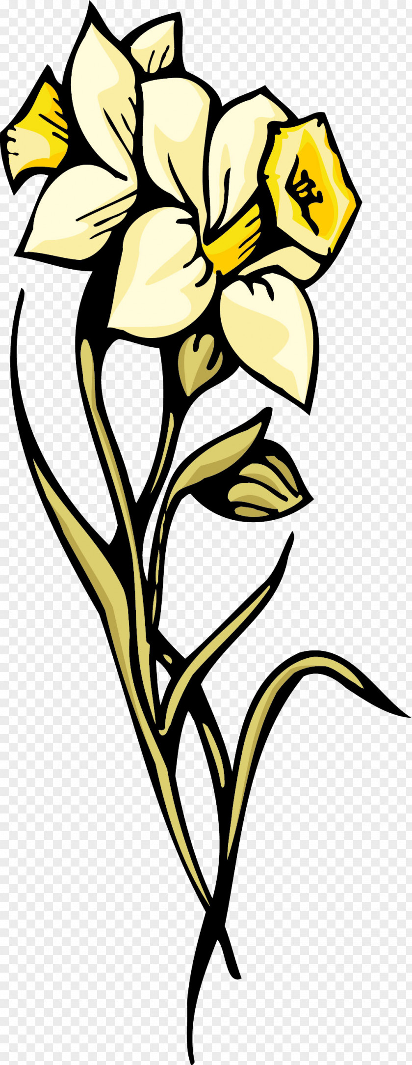 Flower Petal Daffodil Tulip Clip Art PNG