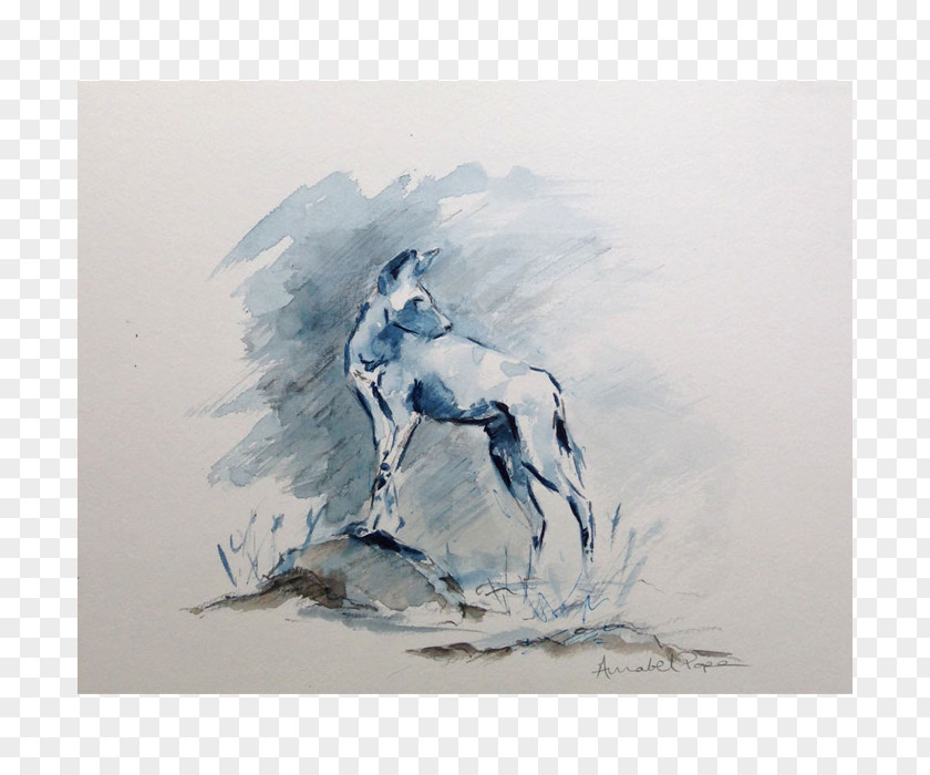 Painting Watercolor Horse Drawing PNG