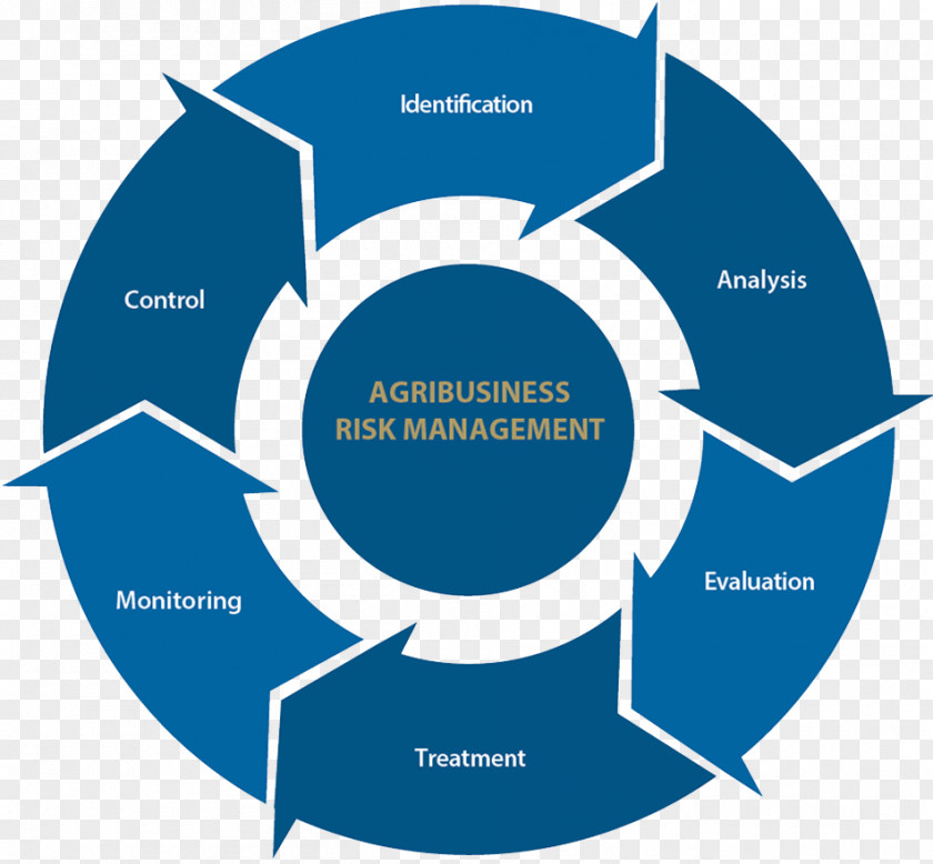 Risk Digital Marketing Management Content Business PNG
