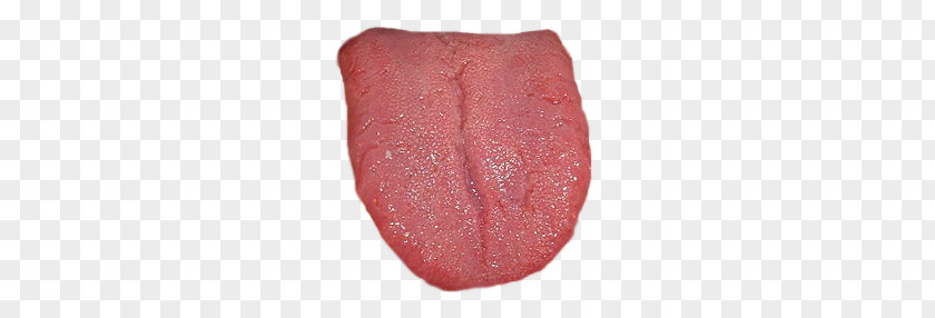 Tongue PNG clipart PNG