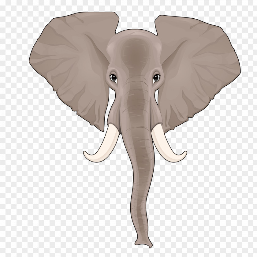 Vector Long Nose Like Indian Elephant African PNG