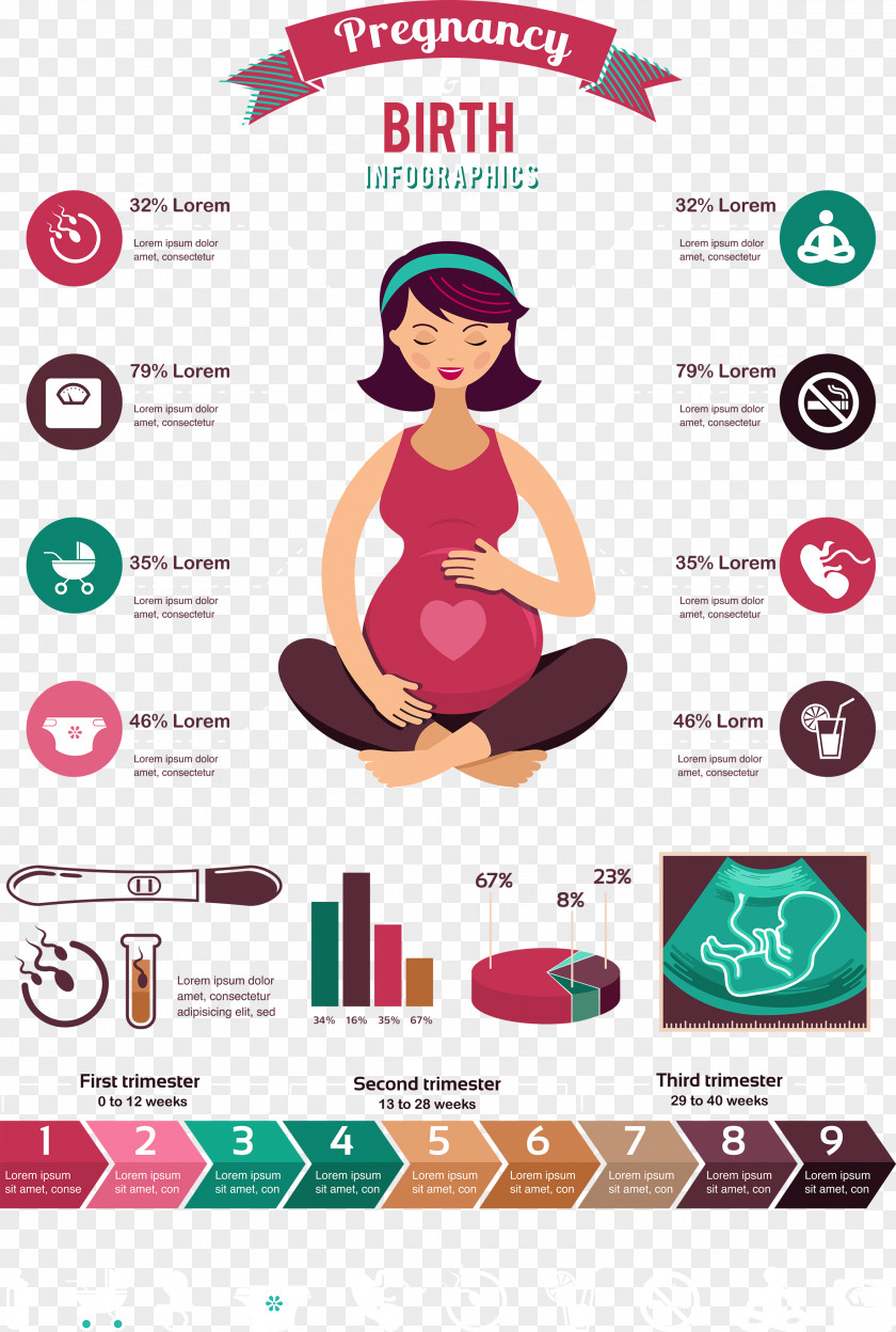 Vector Pregnant Women Living Standard Pregnancy Infographic Computer File PNG