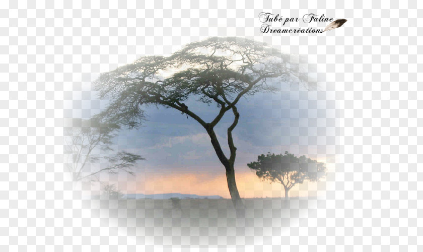 AFRIQUE Création Graphique Landscape Photography Faline Desktop Wallpaper PNG