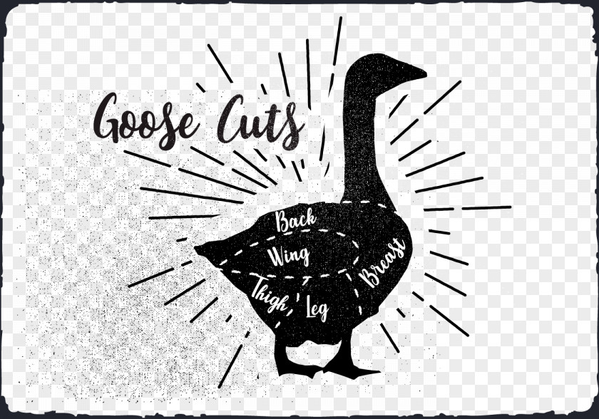 Cartoon Duck Goose Water Bird Drawing PNG