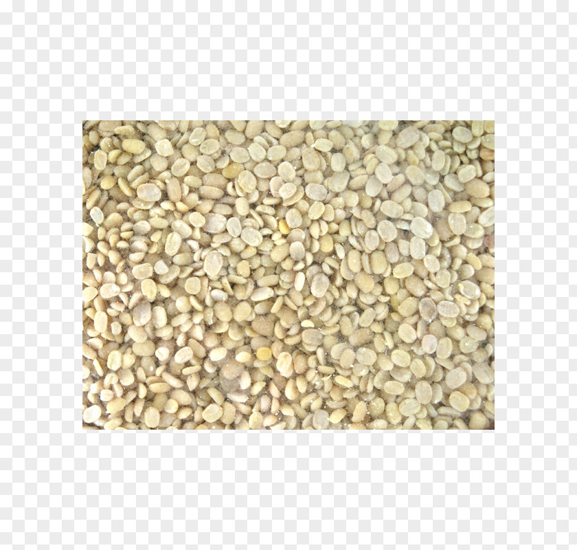 Dalì Material Mixture Gravel PNG