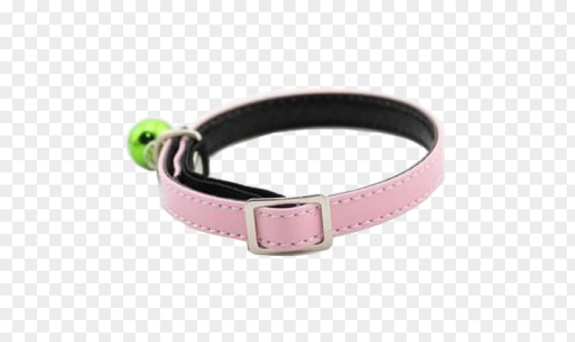 Dog With Collar Bracelet Belt Buckles PNG