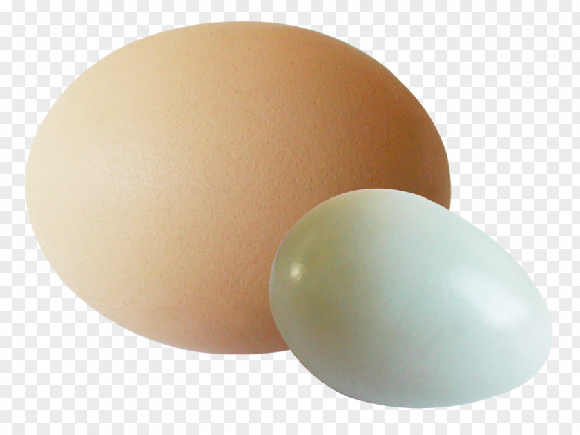 Eggs Egg White PNG
