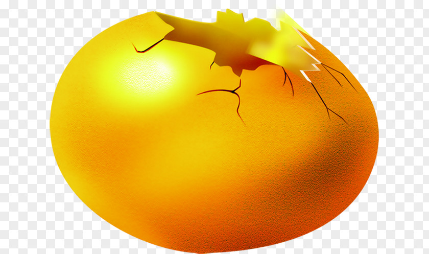 It Has Been Broke Down The Golden Eggs Egg Download PNG
