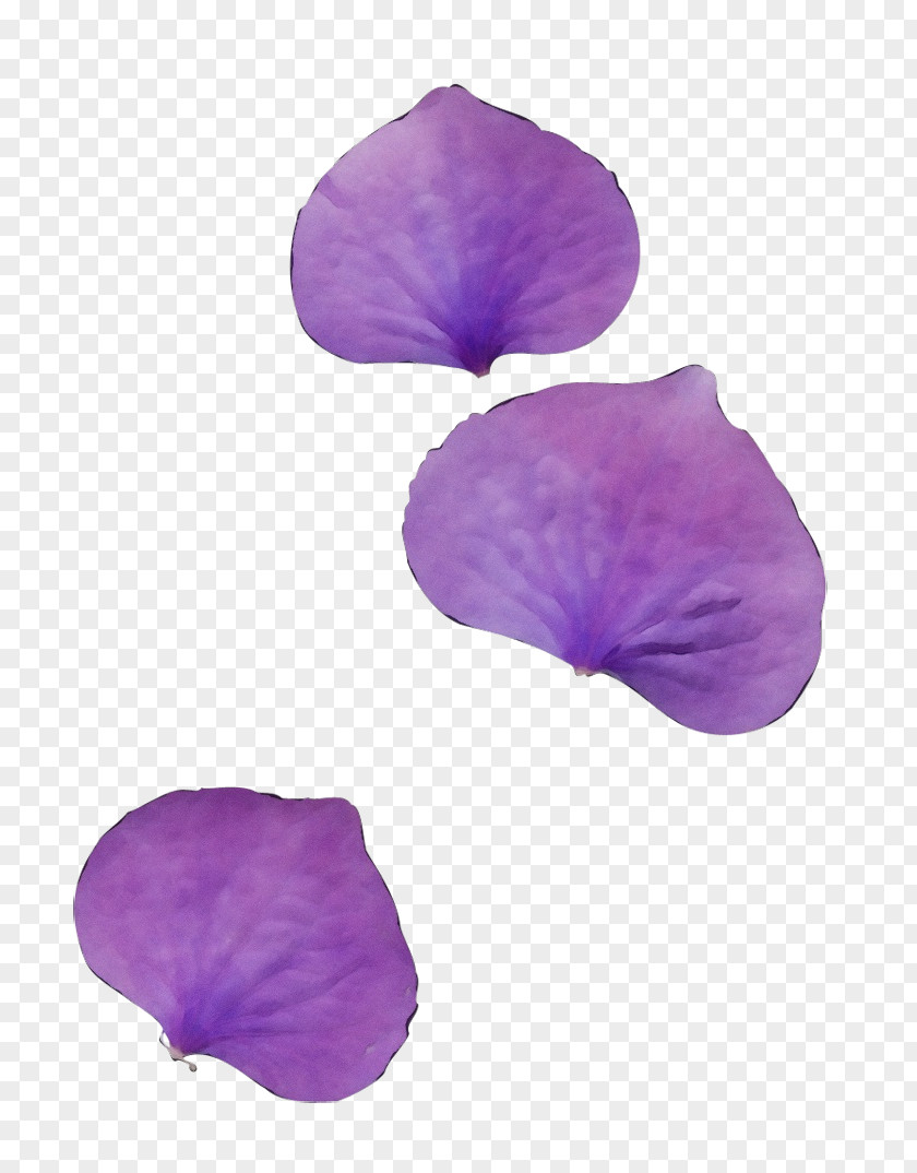 Lavender PNG